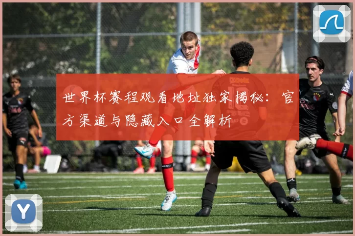 世界杯赛程观看地址独家揭秘:官方渠道与隐藏入口全解析