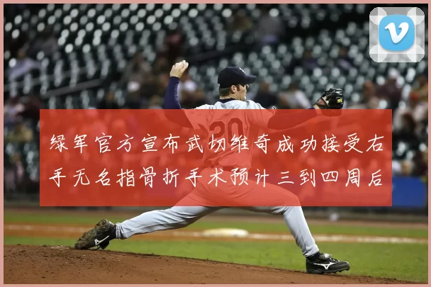 绿军官方宣布武切维奇成功接受右手无名指骨折手术预计三到四周后复查