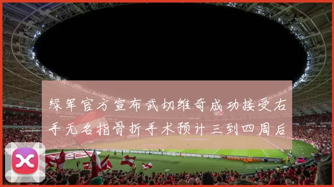 绿军官方宣布武切维奇成功接受右手无名指骨折手术预计三到四周后复查