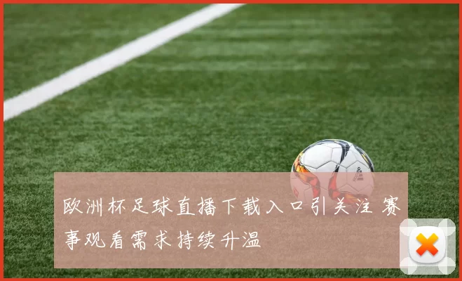 欧洲杯足球直播下载入口引关注 赛事观看需求持续升温