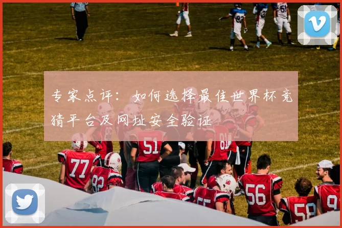专家点评：如何选择最佳世界杯竞猜平台及网址安全验证