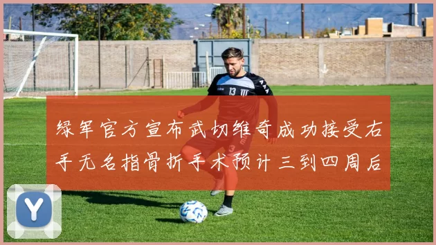 绿军官方宣布武切维奇成功接受右手无名指骨折手术预计三到四周后复查