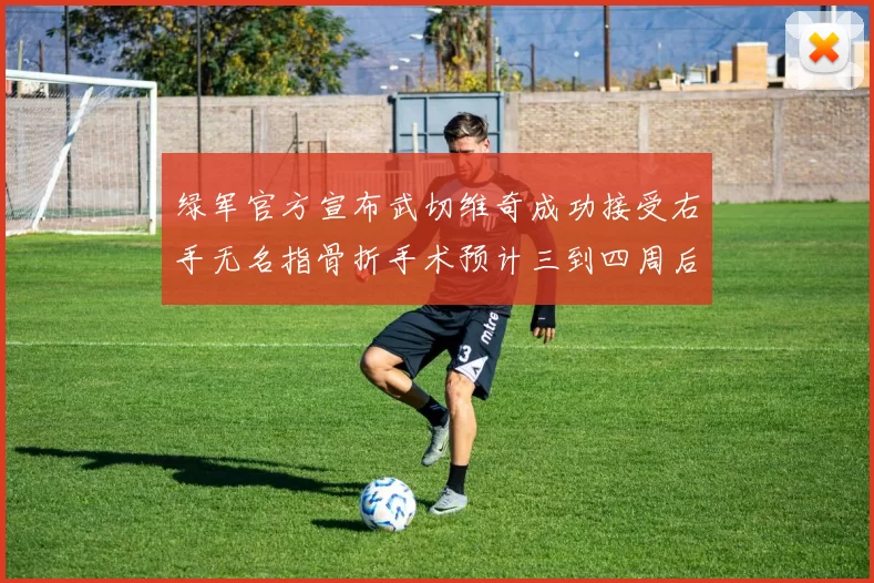 绿军官方宣布武切维奇成功接受右手无名指骨折手术预计三到四周后复查