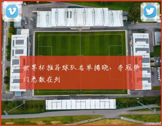 世界杯推荐球队名单揭晓,夺冠热门悉数在列