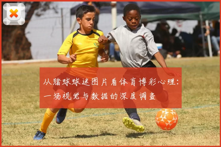 从赌球球迷图片看体育博彩心理:一场视觉与数据的深度调查
