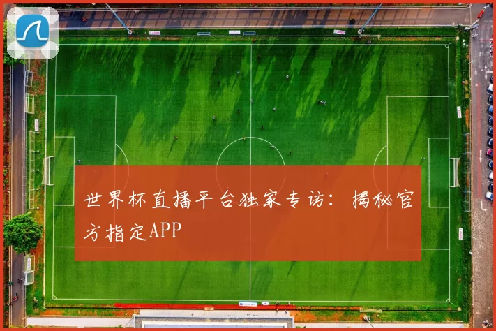 世界杯直播平台独家专访:揭秘官方指定APP