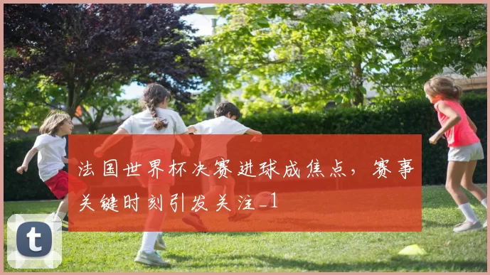 法国世界杯决赛进球成焦点,赛事关键时刻引发关注_1
