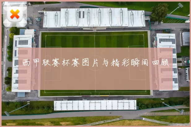 西甲联赛杯赛图片与精彩瞬间回顾