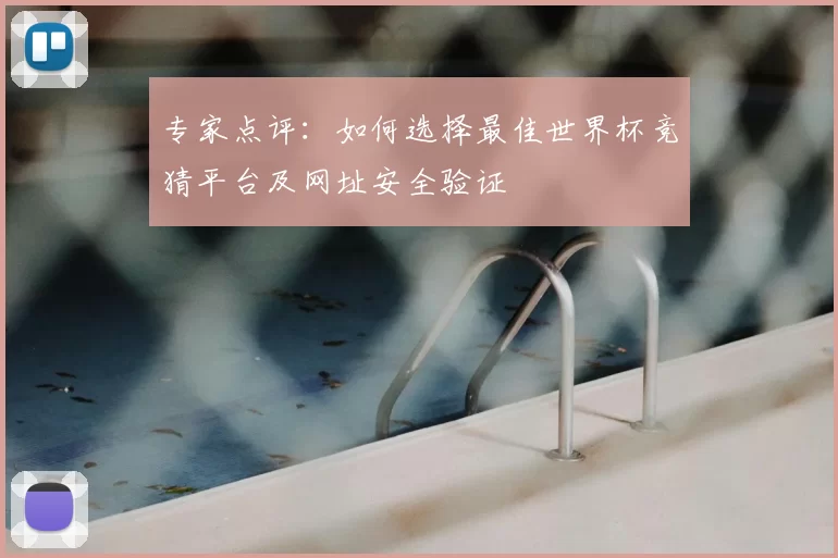 专家点评:如何选择最佳世界杯竞猜平台及网址安全验证