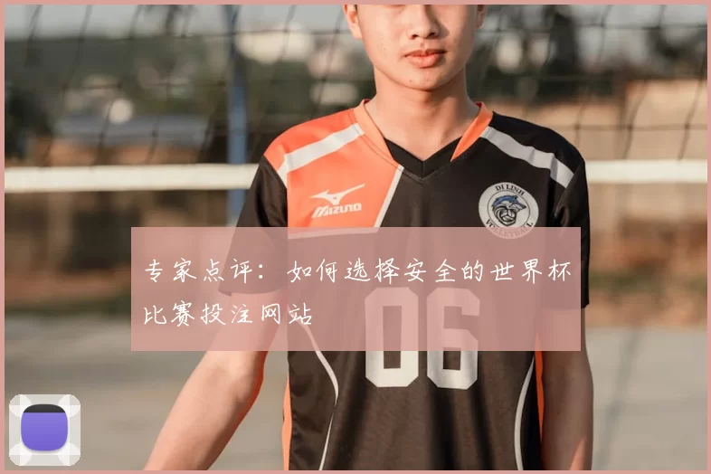 专家点评：如何选择安全的世界杯比赛投注网站