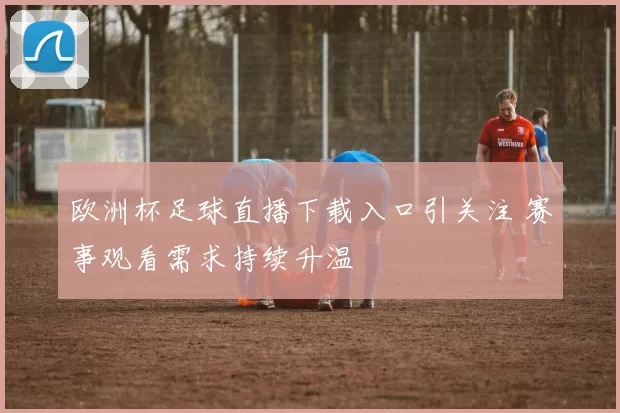 欧洲杯足球直播下载入口引关注 赛事观看需求持续升温