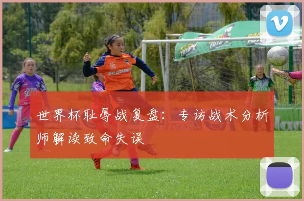 世界杯耻辱战复盘：专访战术分析师解读致命失误