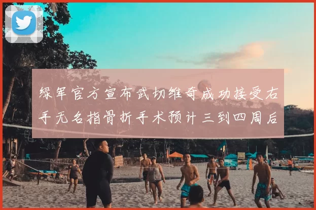 绿军官方宣布武切维奇成功接受右手无名指骨折手术预计三到四周后复查