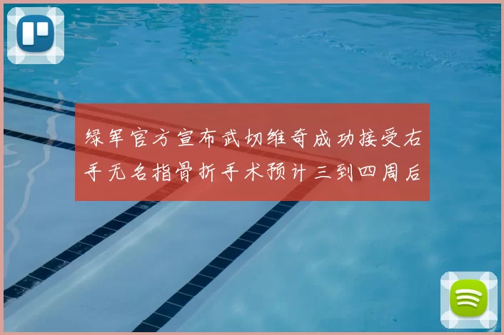 绿军官方宣布武切维奇成功接受右手无名指骨折手术预计三到四周后复查
